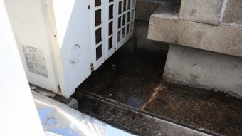 屋上防水